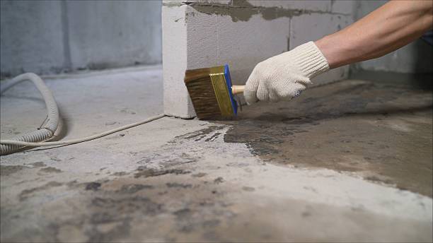 24/7 Emergency Wet Basement Repair experts in Blaine, WA